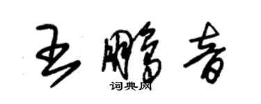 朱錫榮王鵬音草書個性簽名怎么寫