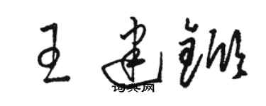 駱恆光王建杴草書個性簽名怎么寫