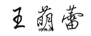 駱恆光王萌蕾行書個性簽名怎么寫