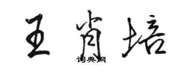 駱恆光王肖培行書個性簽名怎么寫