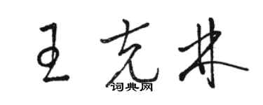 駱恆光王克林草書個性簽名怎么寫