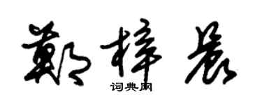 朱錫榮鄭梓晨草書個性簽名怎么寫