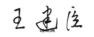 駱恆光王建臣草書個性簽名怎么寫