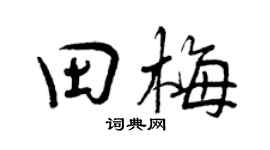 曾慶福田梅行書個性簽名怎么寫