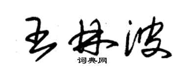 朱錫榮王林波草書個性簽名怎么寫