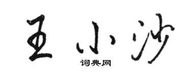 駱恆光王小沙行書個性簽名怎么寫