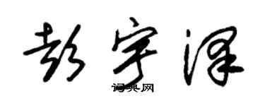 朱錫榮彭宇澤草書個性簽名怎么寫