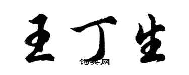 胡問遂王丁生行書個性簽名怎么寫