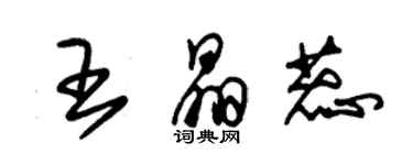 朱錫榮王晶蕊草書個性簽名怎么寫