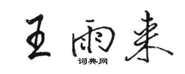 駱恆光王雨來行書個性簽名怎么寫