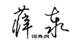 駱恆光薛泰草書個性簽名怎么寫