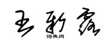 朱錫榮王新露草書個性簽名怎么寫