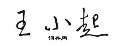 駱恆光王小起草書個性簽名怎么寫