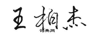 駱恆光王柏傑行書個性簽名怎么寫