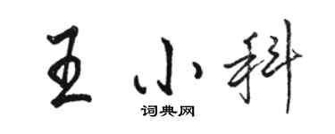 駱恆光王小科行書個性簽名怎么寫