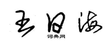 朱錫榮王日海草書個性簽名怎么寫