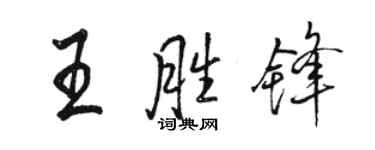 駱恆光王勝鋒行書個性簽名怎么寫