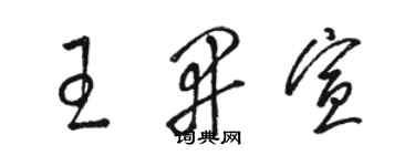 駱恆光王開宣草書個性簽名怎么寫