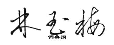 駱恆光林玉梅草書個性簽名怎么寫