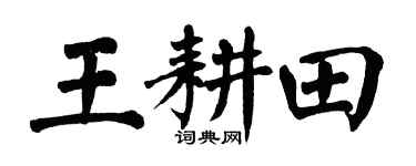 翁闓運王耕田楷書個性簽名怎么寫