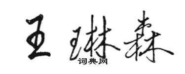 駱恆光王琳森行書個性簽名怎么寫