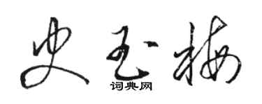 駱恆光史玉梅草書個性簽名怎么寫