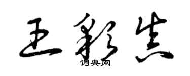 曾慶福王彩真草書個性簽名怎么寫