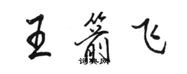 駱恆光王箭飛行書個性簽名怎么寫