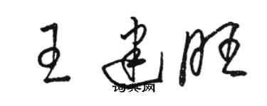 駱恆光王建旺草書個性簽名怎么寫