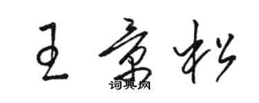 駱恆光王景松草書個性簽名怎么寫