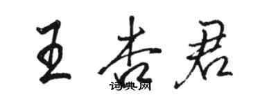 駱恆光王杏君行書個性簽名怎么寫