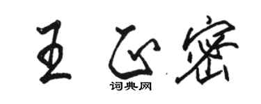 駱恆光王正密行書個性簽名怎么寫