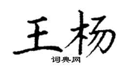 丁謙王楊楷書個性簽名怎么寫