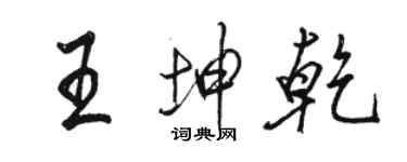 駱恆光王坤乾行書個性簽名怎么寫