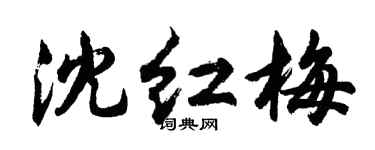 胡問遂沈紅梅行書個性簽名怎么寫