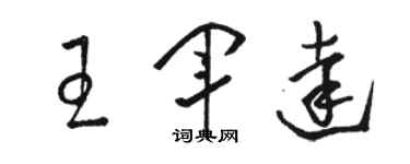 駱恆光王軍達草書個性簽名怎么寫