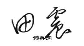 駱恆光田震草書個性簽名怎么寫