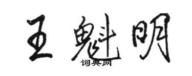 駱恆光王魁明行書個性簽名怎么寫