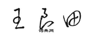 駱恆光王良田草書個性簽名怎么寫