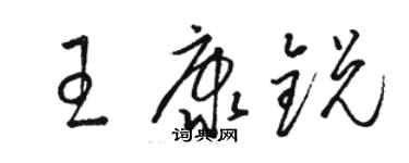 駱恆光王康銳草書個性簽名怎么寫