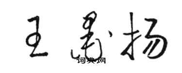 駱恆光王墨揚草書個性簽名怎么寫