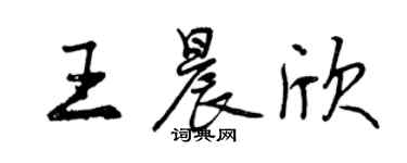 曾慶福王晨欣行書個性簽名怎么寫