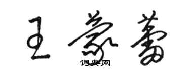 駱恆光王蒙蕾草書個性簽名怎么寫