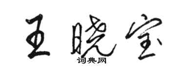 駱恆光王曉寶行書個性簽名怎么寫