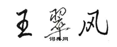 駱恆光王翠風行書個性簽名怎么寫