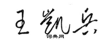 駱恆光王凱兵草書個性簽名怎么寫