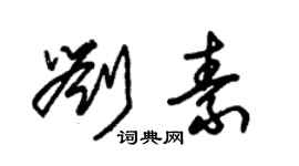 朱錫榮劉素草書個性簽名怎么寫