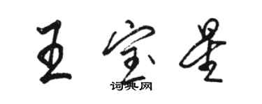 駱恆光王寶星行書個性簽名怎么寫