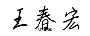 王正良王春宏行書個性簽名怎么寫