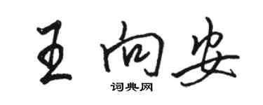 駱恆光王向安行書個性簽名怎么寫